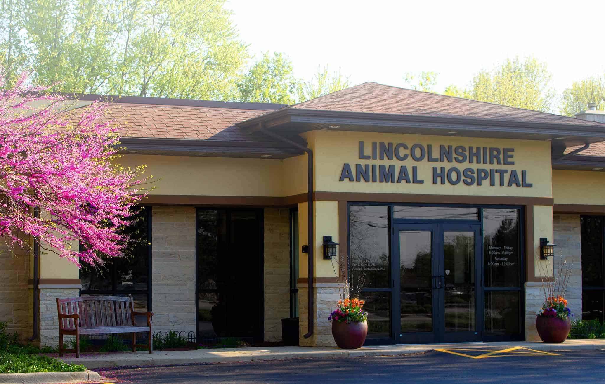 About Lincolnshire Animal Hospital